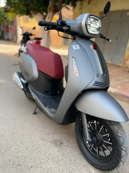 Vms Panarea 2026 - 1
