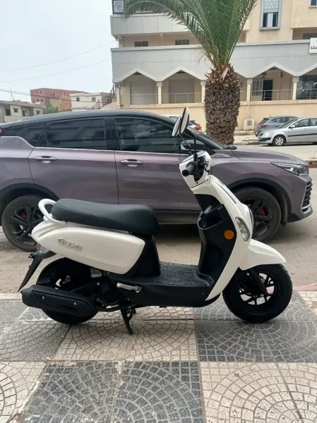 Vms Cucci 2025 - 1