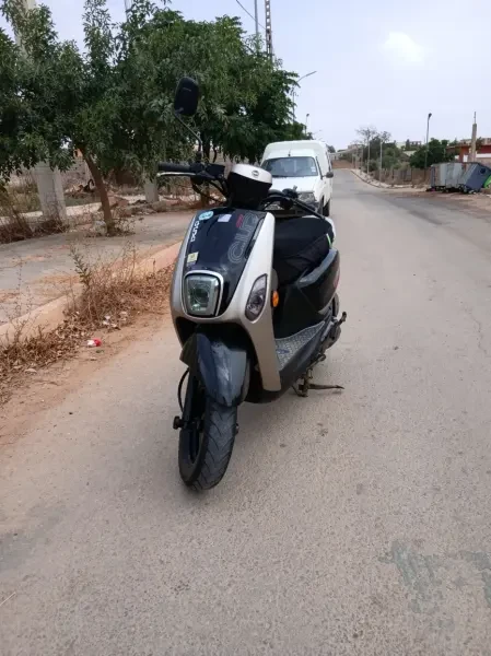 Cuxi 2 2022 - 1