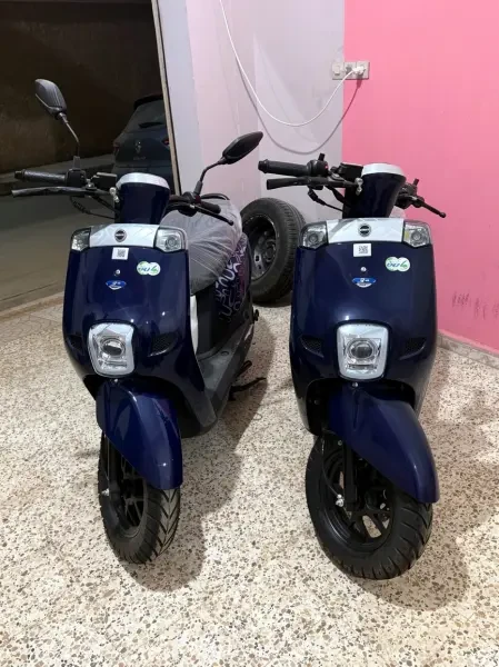 Vms Cuxi 1 2026 - 1