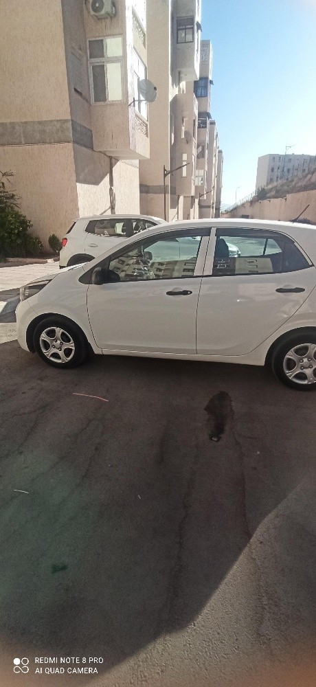 Picanto - 4