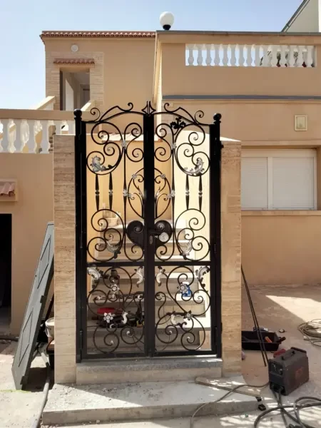 Porte métallique en fer forgé - 1