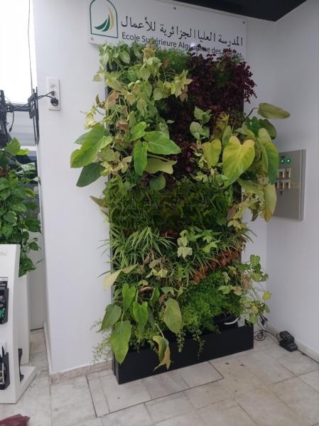 Mur Vegetal Naturel - 1