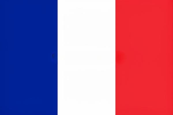 Professeur De Français - 1