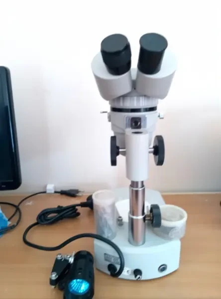 Microscope Binoculaire PARALUX - 1