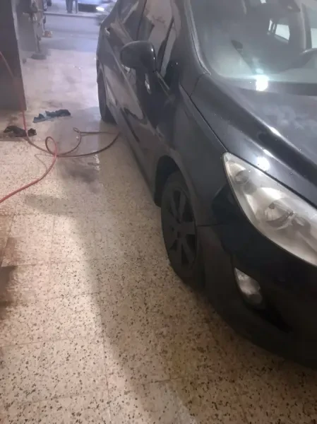 Peugeot 308 2009 Premium - 1