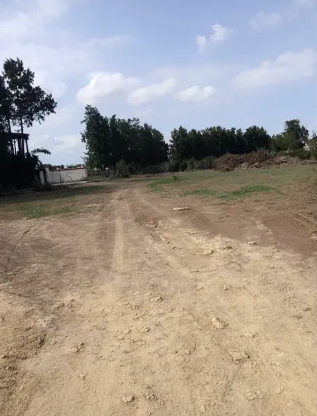 كراء أرض الجزائر أولاد الشبل - 1