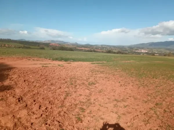 Vente Terrain Agricole Tipaza - 1