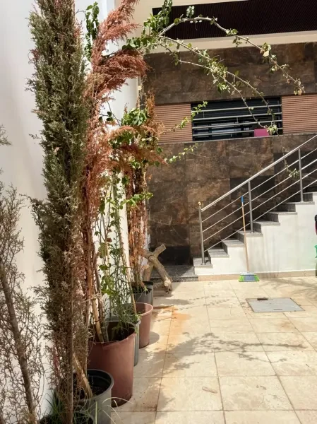 Vente Villa Oran Oran - 2