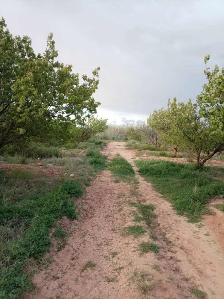 أرض للبيع  - 6