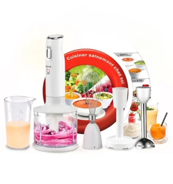 MIXEUR PLONGEANT 6EN1 ROBUSTE - 1