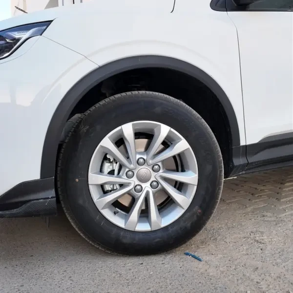 Geely Coolray 2026 Manual - 2