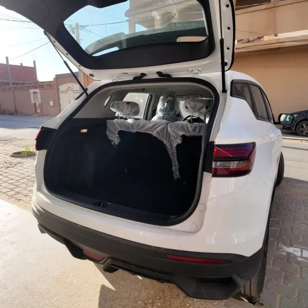 Geely Coolray 2026 Manual - 4