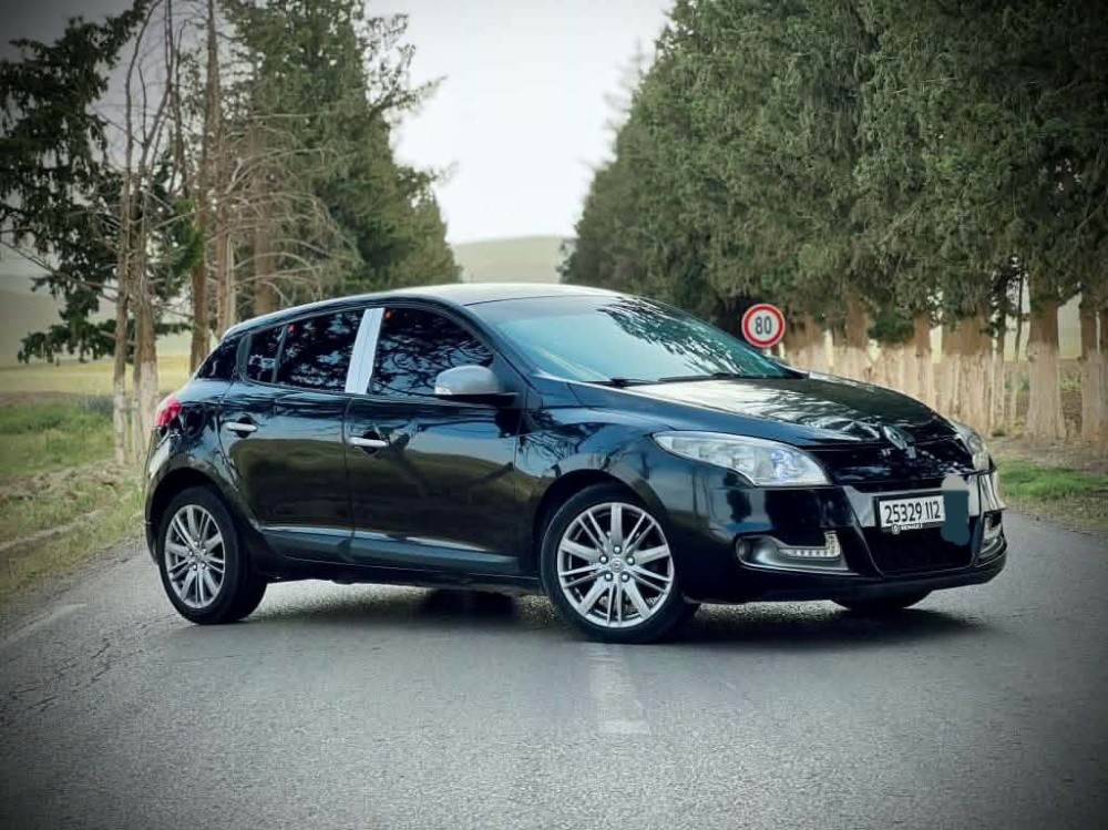 ميغان  - 1