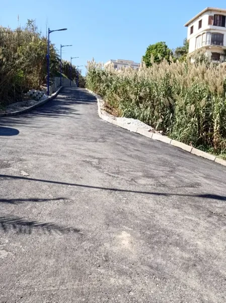 Vente Terrain Alger Ain Taya - 2