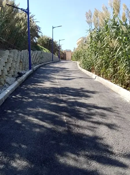 Vente Terrain Alger Ain Taya - 1