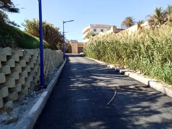 Vente Terrain Alger Ain Taya - 3