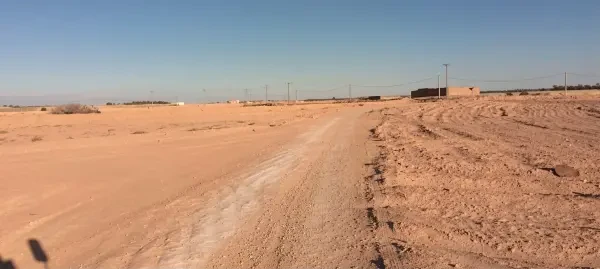 بيع أرض فلاحية بسكرة لواء - 4