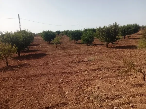 بيع أرض - 4