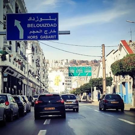 Terrain de 8 000 m Belouizdad - 1