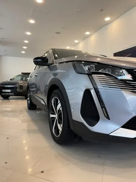 Peugeot 3008 2022 - 2