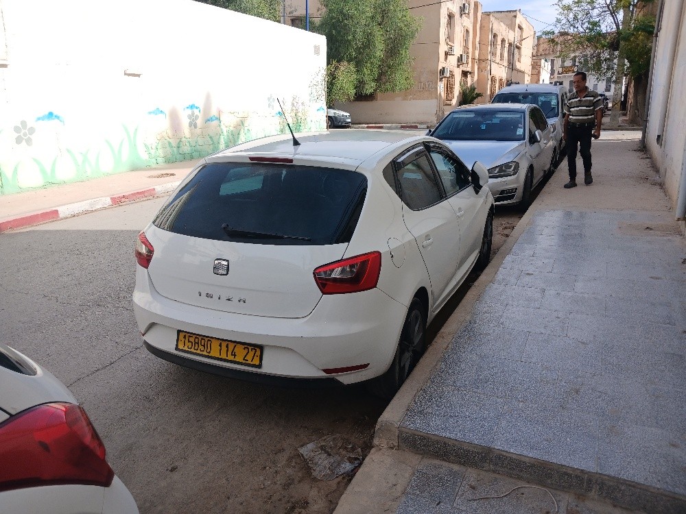 ابيزا 2014 - 4