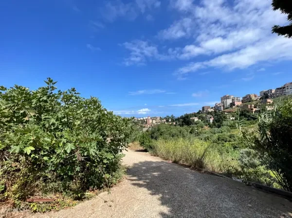 بيع أرض - 2