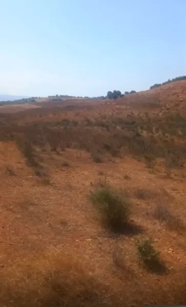 بيع أرض عين الدفلة بومدفع - 2