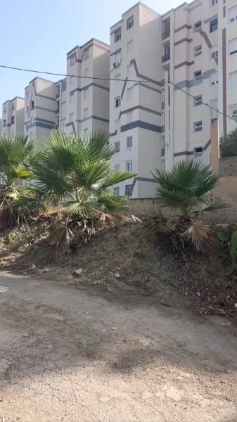 بيع أرض الجزائر زرالدة - 1
