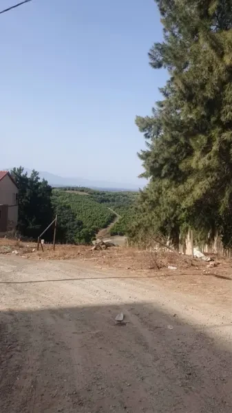 بيع أرض الجزائر زرالدة - 2