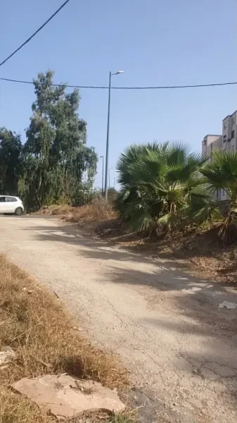 بيع أرض الجزائر زرالدة - 3