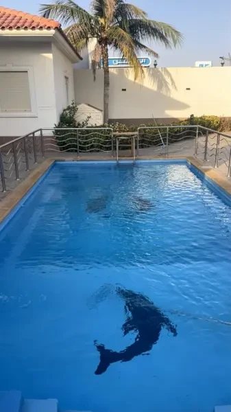 بيع فيلا الجزائر حيدرة - 1