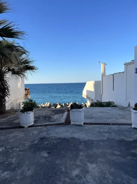 Vente Appartement F3 Alger - 2