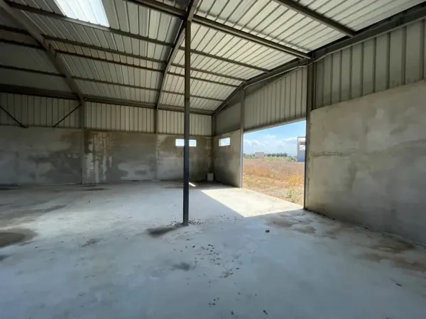 Location Terrain Alger Rouiba - 2