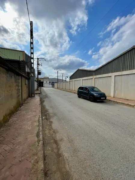 Location Terrain Blida Beni Tamou - 3