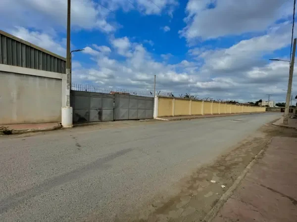 Location Terrain Blida Beni Tamou - 2