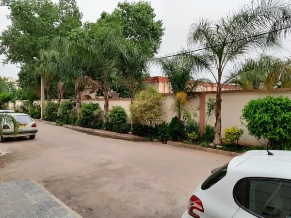 Location Appartement Niveau f2 - 1