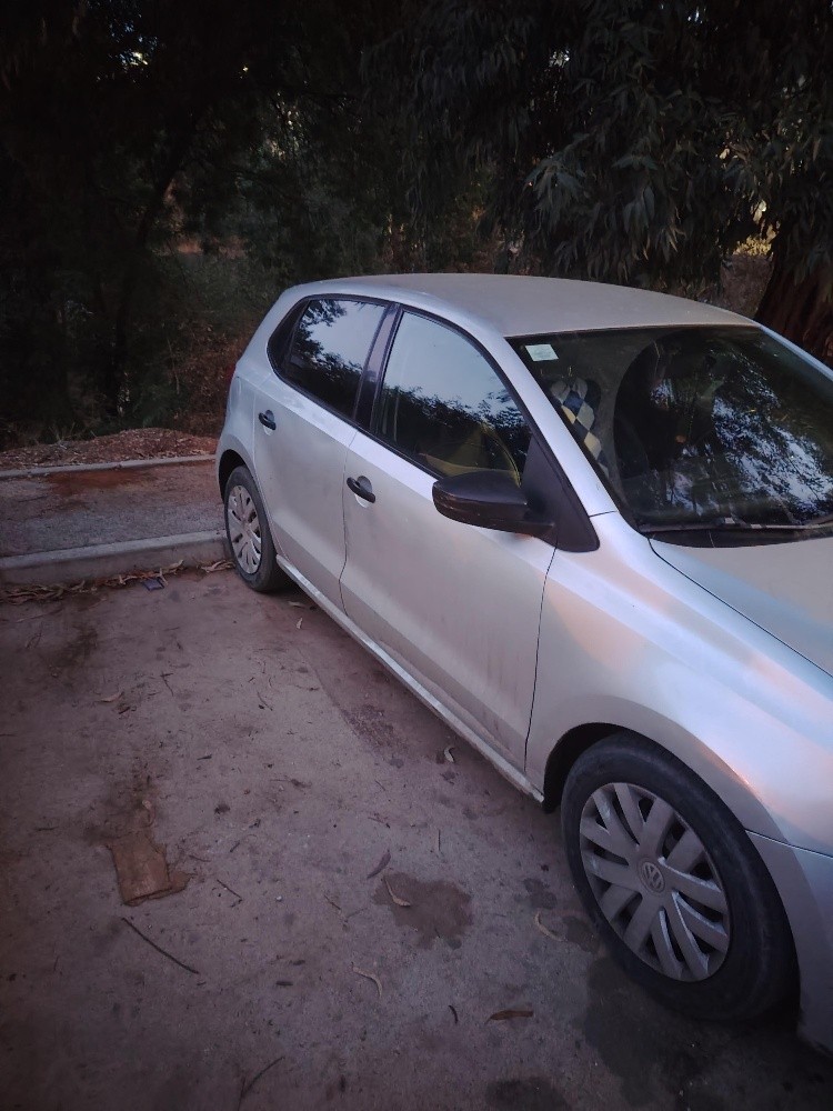 polo - 4