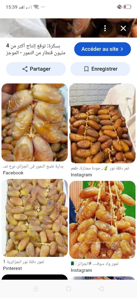 بيع جميع انواع التمور و مشتقاتها - 1