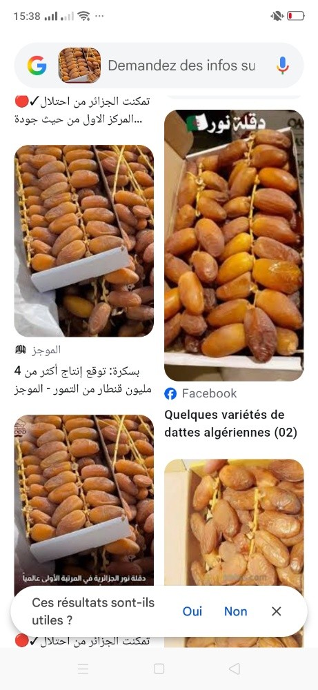 بيع جميع انواع التمور و مشتقاتها - 3