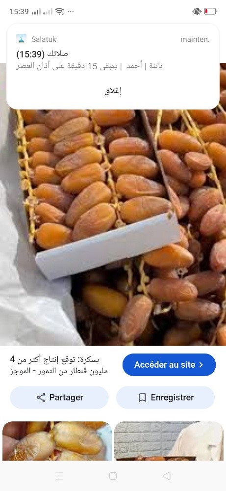 بيع جميع انواع التمور و مشتقاتها - 2