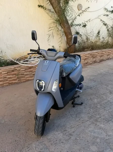Vms Estate x 2026 - 1