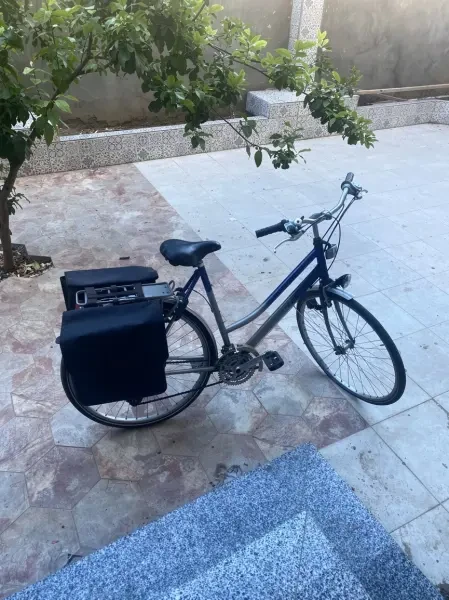Vélo Notra Survival VTC - 1