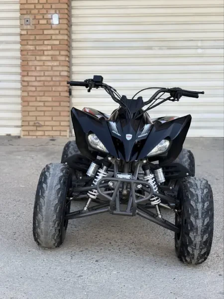Vms Pentora 2025 - 1