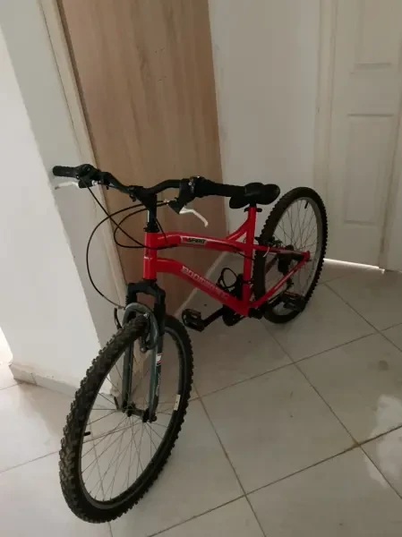 Vélo 26 Puce - 1