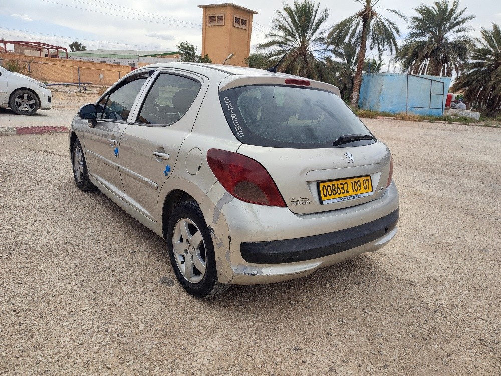 207 بيجو - 12