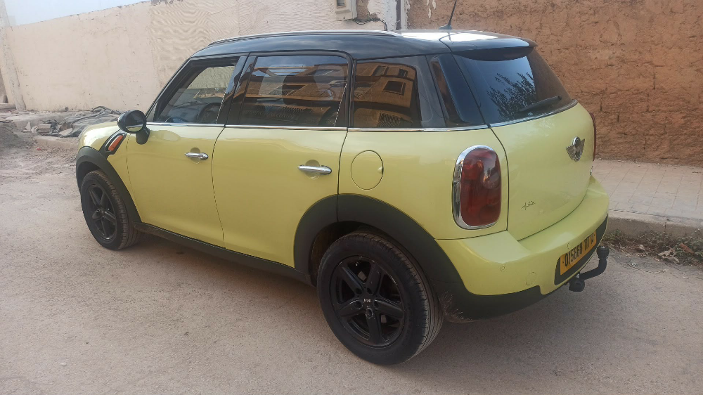 mini - 10