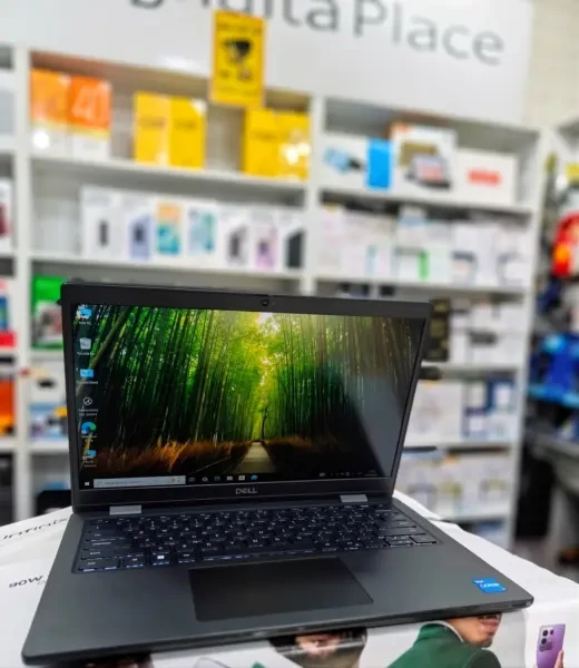Dell latitude 3420 - 1