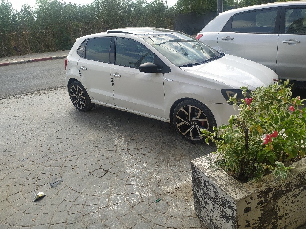 polo Allemande - 8