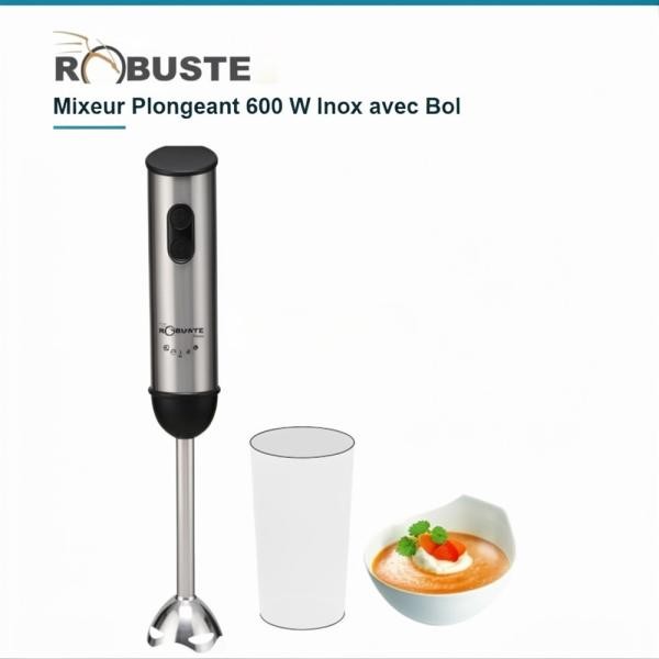 Mixeur Plongeant 600 W Inox - 1
